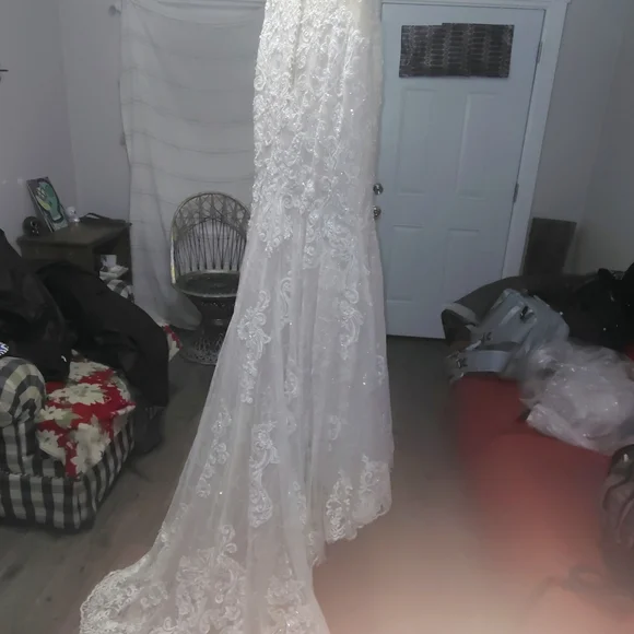 Elegant Cream Lace Wedding Dress - Picture 5 of 10